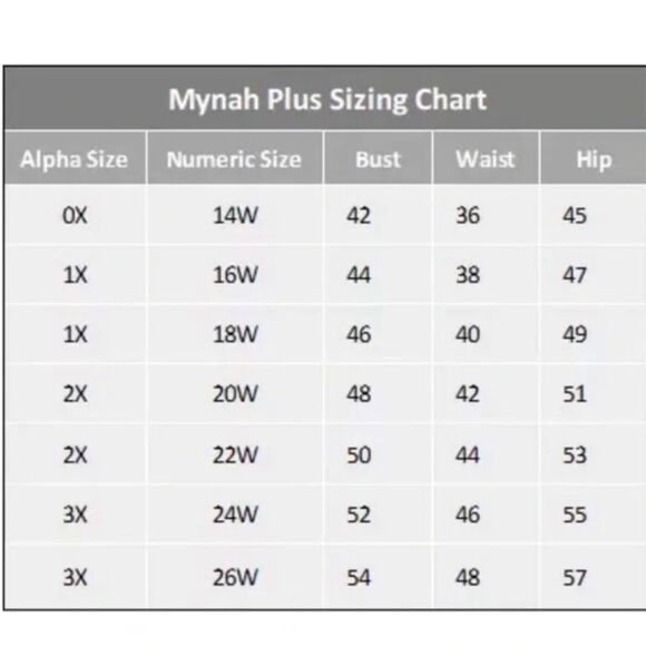 Mynah Animal Print Hipster Bikini Swim  Brief Bottoms Plus Size 24W - Picture 7 of 7